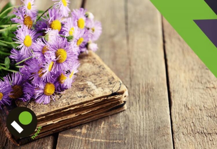 Tishina vnbspmnogokvartirnom dome vremja tishiny inbspshtrafy za narushenija po zakonu jaroslavskoj oblasti a86b7eb.jpg