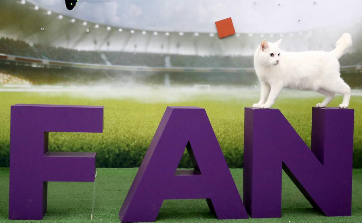 Matycin zajavil chto s fan id obratnoj dorogi ne budet futbol rbk sport 3a36878.jpg