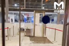 Genprokuratura proverila dejatelnost ohrany krokusa 778d875.jpg