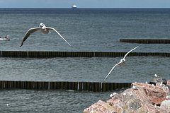 Politolog zajavil o planah nato vzjat pod kontrol baltijskoe more 97d355e.jpg