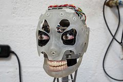 Glaza dlja robotov pozaimstvovali u cheloveka 990e51d.jpg