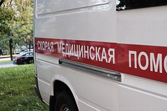 V podmoskove muzhchinu pridavilo derevom vo vremja uragana ff3ac45.jpg