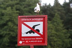 Turistam zapretili kupatsja v more na populjarnom kurorte rossii bbc5744.jpg