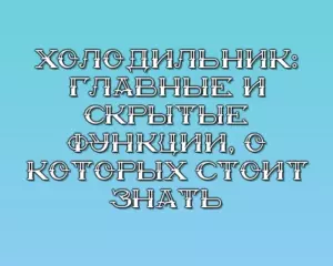 Holodilnik glavnye i skrytye funktsii o kotoryh stoit znat