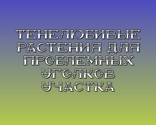 Tenelyubivye rasteniya dlya problemnyh ugolkov uchastka